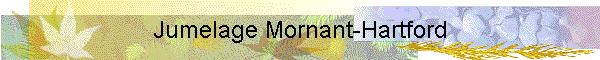 Jumelage Mornant-Hartford