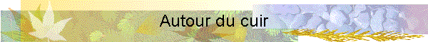 Autour du cuir