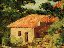 zancanaro-4