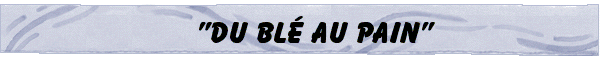 bandeau ble pain