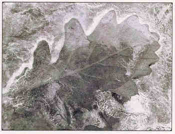 di-rollo1