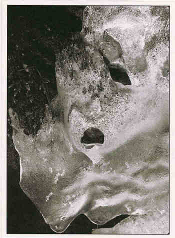 di-rollo4