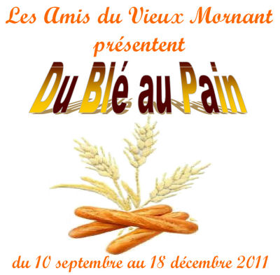 extrait affi du blé au pain