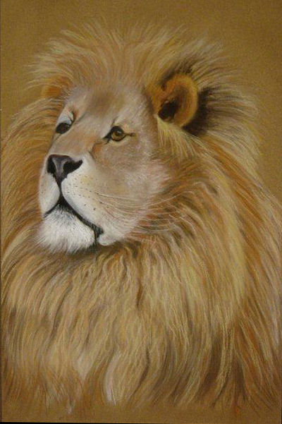 lion