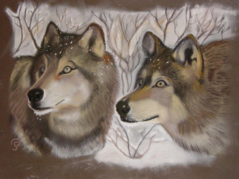 loups