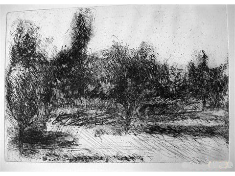 bernard_rouyard (4)