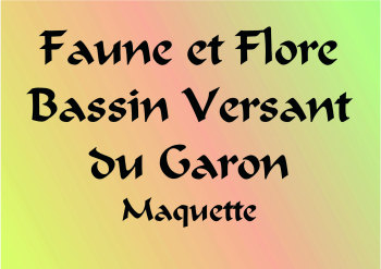 fiches