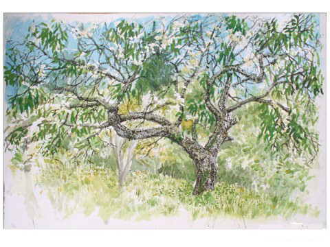 2016-03-16-arbres4