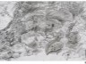 2016-03-16-arbres2