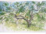 2016-03-16-arbres4