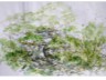 2016-03-16-paysage2