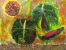 24-2009-Melon