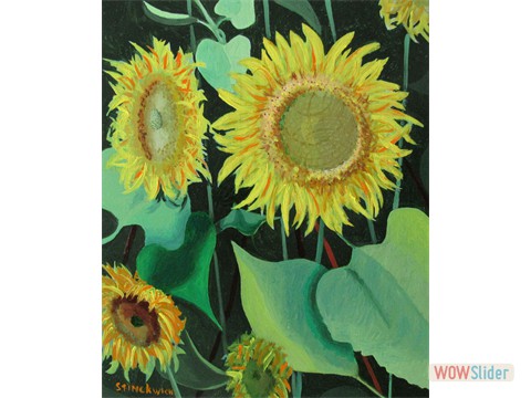 2017-07-17-stincwich-tournesols