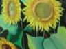 2017-07-17-stincwich-tournesols