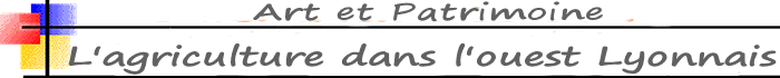 image Titre