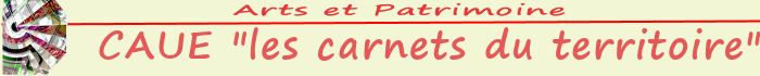 image caue